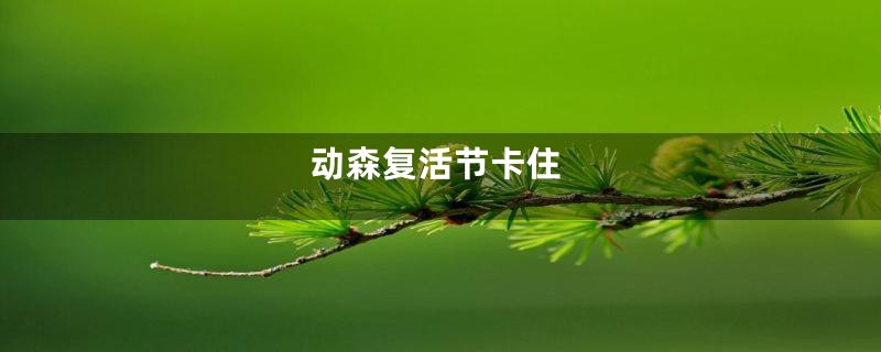 动森复活节卡住