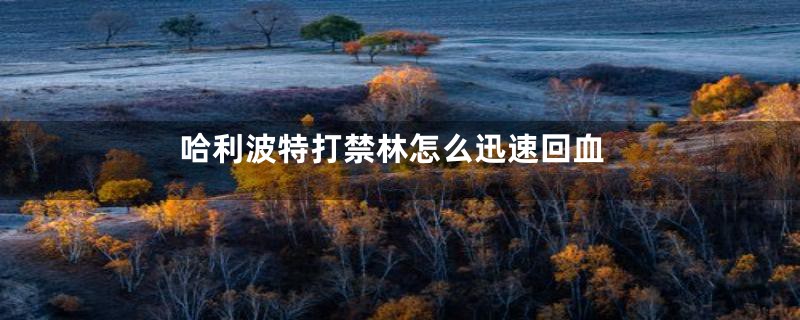 哈利波特打禁林怎么迅速回血