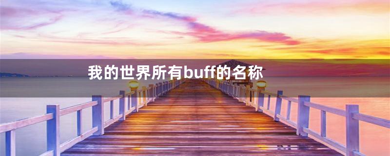 我的世界所有buff的名称